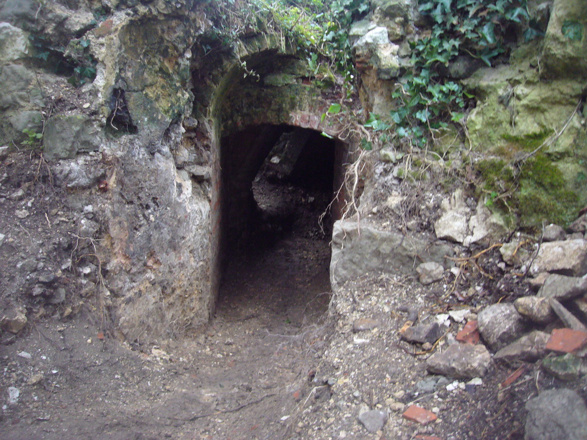 Cellar Excavation (7/3/13)